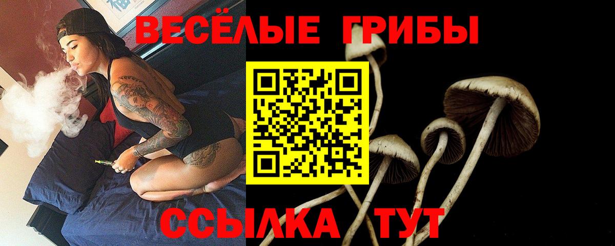 Галлюциногенные грибы Psilocybe Зерноград